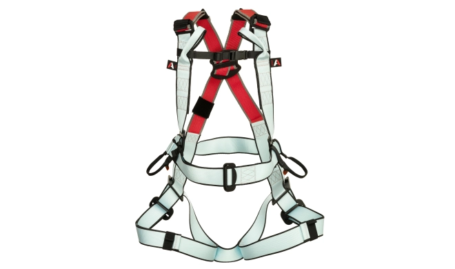 Harness